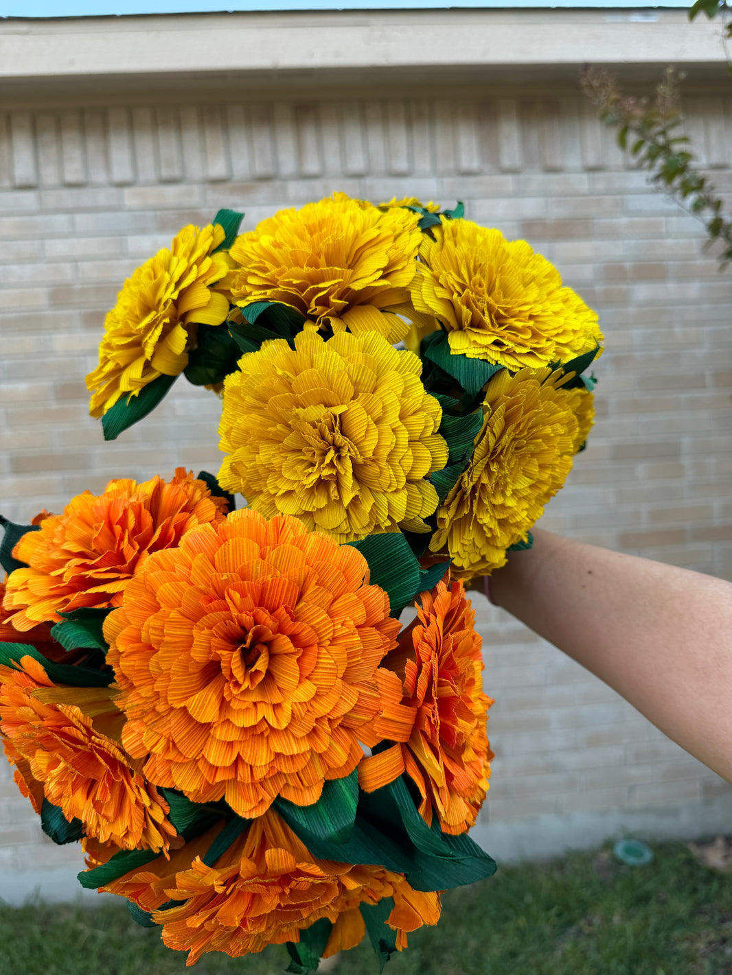 Cempasuchil Flower, Dia de los Muertos