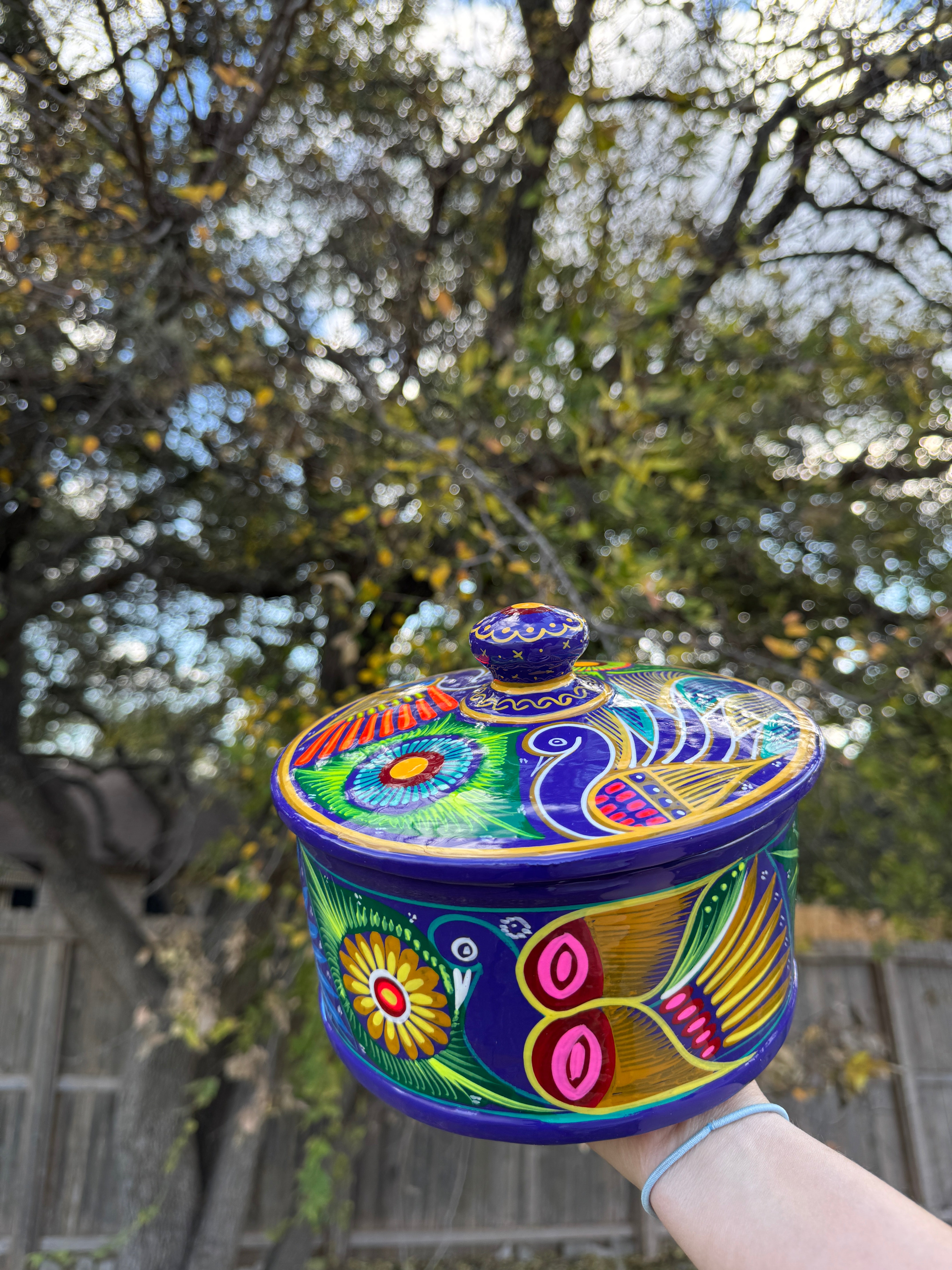 Mexican Tortilla Holder hand painted tortillero